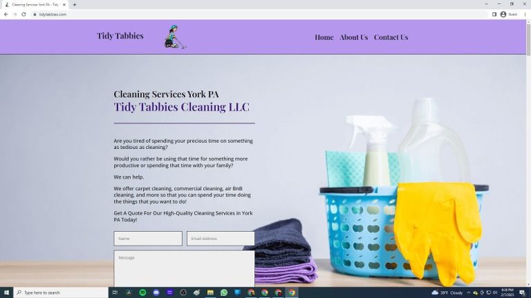 Tidy Tabbies website ss 768x432